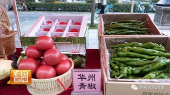 渭南品牌农产品展 丰收节里花样多，优质特产受青睐