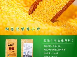 东北五谷香飘深圳 云农优品小豆、黄豆、绿豆的餐桌之旅