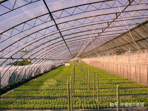 农膜特性知多少 助农产品提质增效的关键